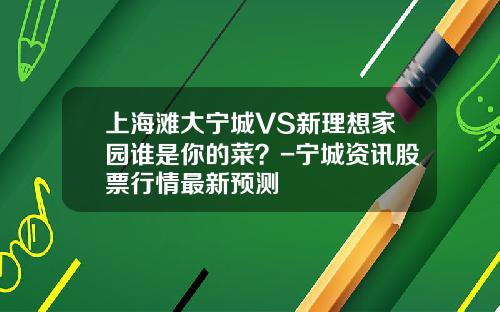 上海滩大宁城VS新理想家园谁是你的菜？-宁城资讯股票行情最新预测