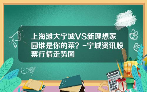 上海滩大宁城VS新理想家园谁是你的菜？-宁城资讯股票行情走势图