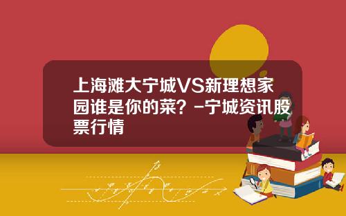 上海滩大宁城VS新理想家园谁是你的菜？-宁城资讯股票行情