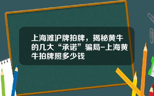上海滩沪牌拍牌，揭秘黄牛的几大“承诺”骗局-上海黄牛拍牌照多少钱
