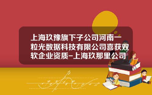 上海玖豫旗下子公司河南一粒光数据科技有限公司喜获双软企业资质-上海玖那里公司