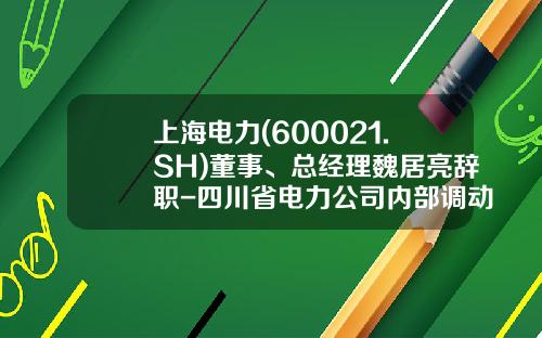 上海电力(600021.SH)董事、总经理魏居亮辞职-四川省电力公司内部调动