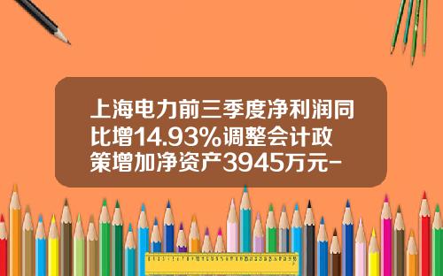 上海电力前三季度净利润同比增14.93%调整会计政策增加净资产3945万元-上海电力公司公积金