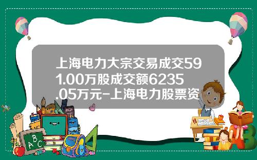 上海电力大宗交易成交591.00万股成交额6235.05万元-上海电力股票资讯搜索