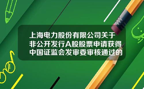 上海电力股份有限公司关于非公开发行A股股票申请获得中国证监会发审委审核通过的公告-上海电力股份有限公司