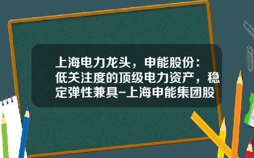 上海电力龙头，申能股份：低关注度的顶级电力资产，稳定弹性兼具-上海申能集团股份有限公司