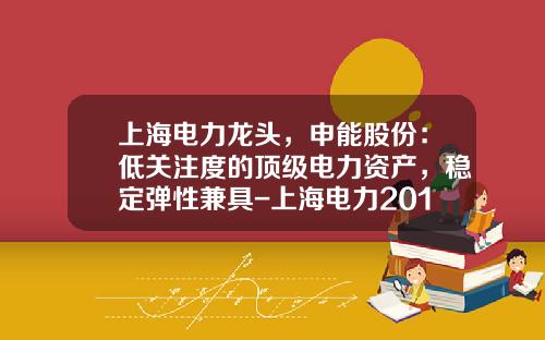 上海电力龙头，申能股份：低关注度的顶级电力资产，稳定弹性兼具-上海电力2015最高价多少
