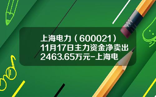 上海电力（600021）11月17日主力资金净卖出2463.65万元-上海电力股票资讯搜索