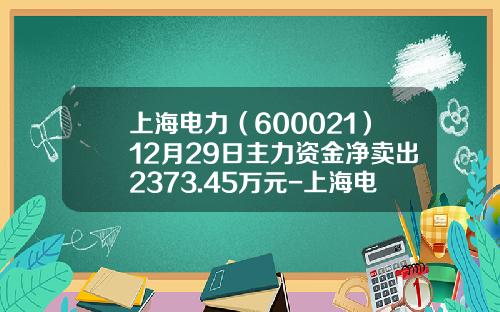上海电力（600021）12月29日主力资金净卖出2373.45万元-上海电力股票资讯搜索
