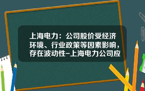 上海电力：公司股价受经济环境、行业政策等因素影响，存在波动性-上海电力公司应该新电改