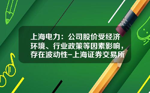 上海电力：公司股价受经济环境、行业政策等因素影响，存在波动性-上海证券交易所的市值是多少