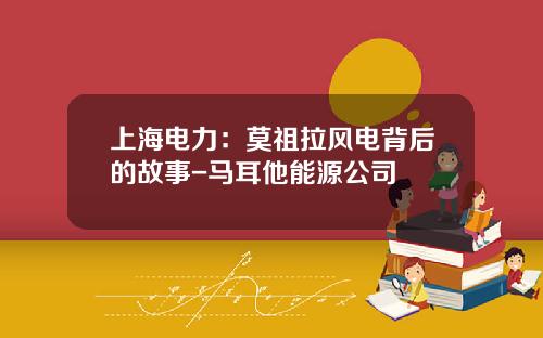 上海电力：莫祖拉风电背后的故事-马耳他能源公司