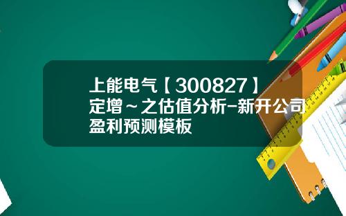 上能电气【300827】定增～之估值分析-新开公司盈利预测模板