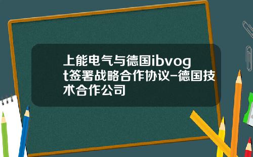 上能电气与德国ibvogt签署战略合作协议-德国技术合作公司