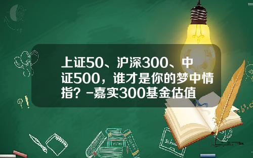 上证50、沪深300、中证500，谁才是你的梦中情指？-嘉实300基金估值