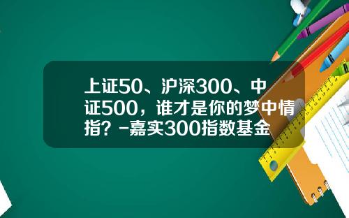 上证50、沪深300、中证500，谁才是你的梦中情指？-嘉实300指数基金