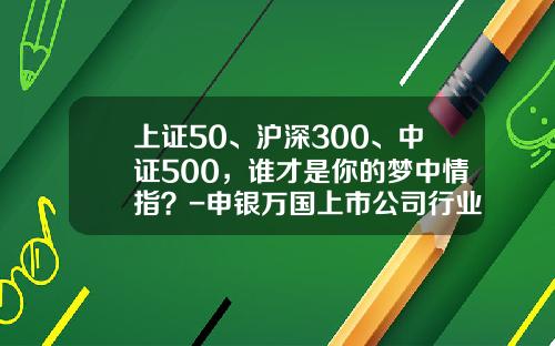 上证50、沪深300、中证500，谁才是你的梦中情指？-申银万国上市公司行业分类标准2014版