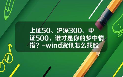 上证50、沪深300、中证500，谁才是你的梦中情指？-wind资讯怎么找股票总市值
