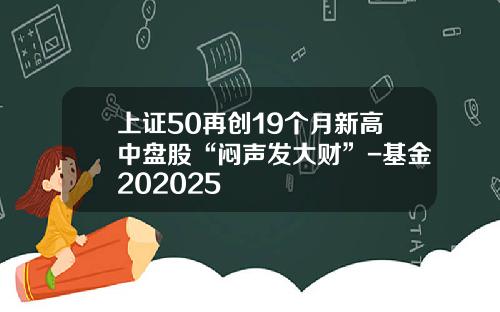 上证50再创19个月新高中盘股“闷声发大财”-基金202025