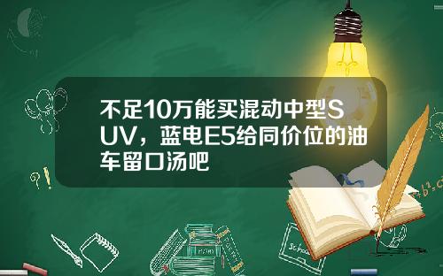 不足10万能买混动中型SUV，蓝电E5给同价位的油车留口汤吧