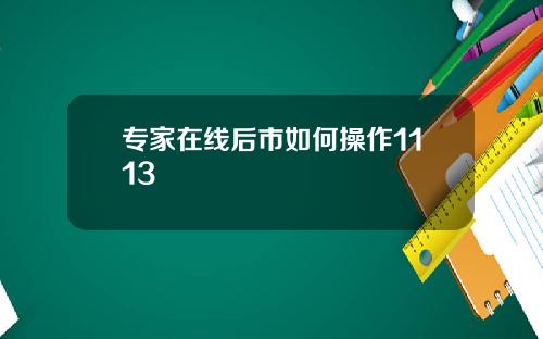 专家在线后市如何操作1113