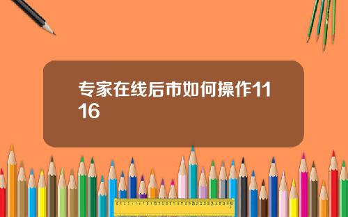 专家在线后市如何操作1116