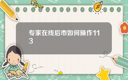 专家在线后市如何操作113