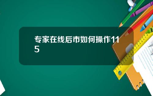 专家在线后市如何操作115