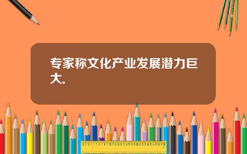 专家称文化产业发展潜力巨大.