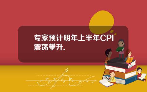 专家预计明年上半年CPI震荡攀升.
