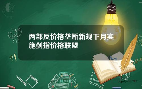 两部反价格垄断新规下月实施剑指价格联盟