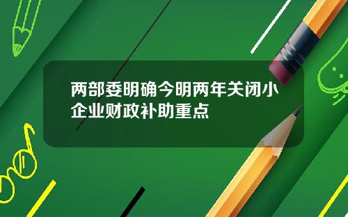 两部委明确今明两年关闭小企业财政补助重点