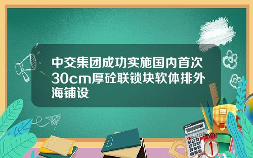 中交集团成功实施国内首次30cm厚砼联锁块软体排外海铺设