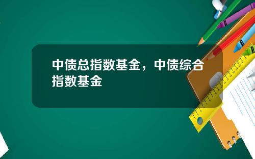 中债总指数基金，中债综合指数基金