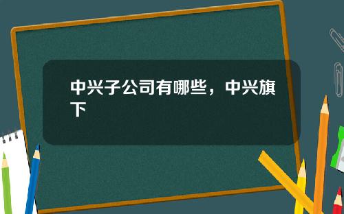 中兴子公司有哪些，中兴旗下
