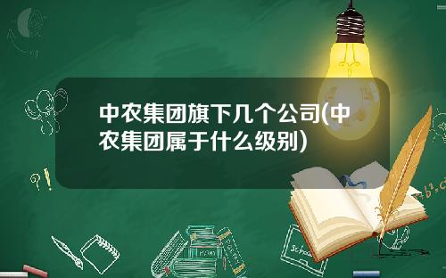 中农集团旗下几个公司(中农集团属于什么级别)