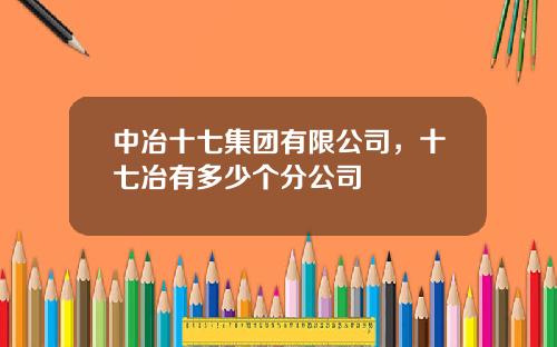 中冶十七集团有限公司，十七冶有多少个分公司