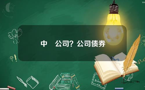 中劵公司？公司债券