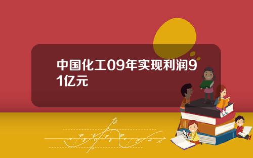 中国化工09年实现利润91亿元