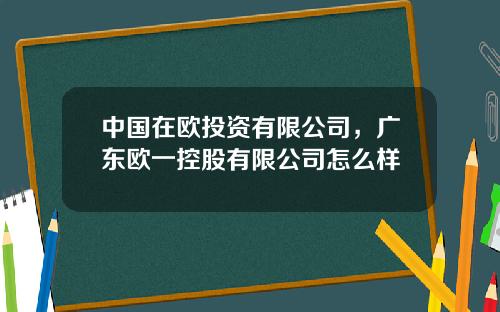 中国在欧投资有限公司，广东欧一控股有限公司怎么样