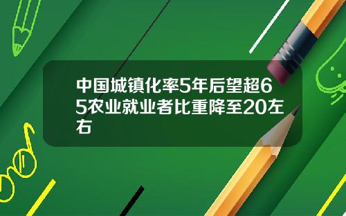 中国城镇化率5年后望超65农业就业者比重降至20左右