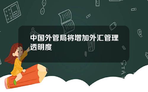 中国外管局将增加外汇管理透明度
