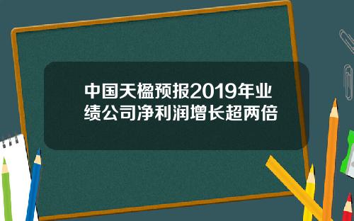 中国天楹预报2019年业绩公司净利润增长超两倍