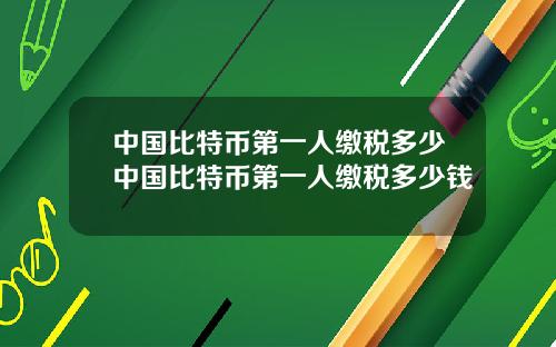 中国比特币第一人缴税多少中国比特币第一人缴税多少钱