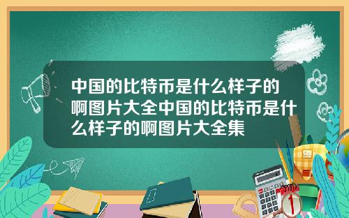中国的比特币是什么样子的啊图片大全中国的比特币是什么样子的啊图片大全集