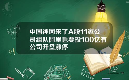 中国神网来了A股11家公司组队阿里也要投100亿有公司开盘涨停