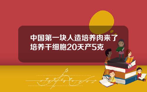 中国第一块人造培养肉来了培养干细胞20天产5克