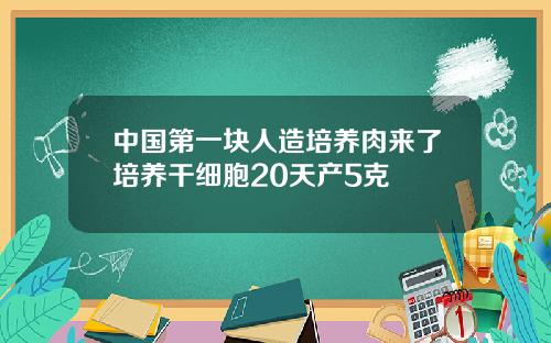 中国第一块人造培养肉来了培养干细胞20天产5克