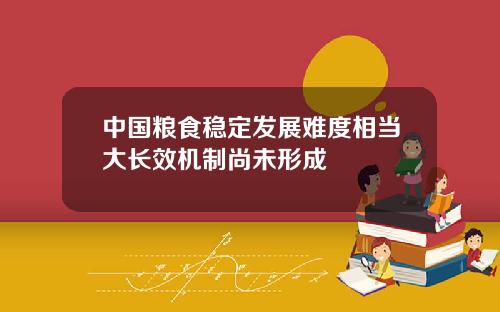 中国粮食稳定发展难度相当大长效机制尚未形成