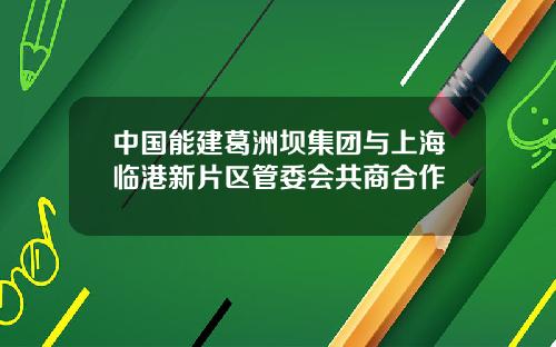 中国能建葛洲坝集团与上海临港新片区管委会共商合作